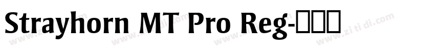 Strayhorn MT Pro Reg字体转换